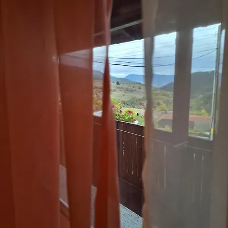 у нико * Orehovo