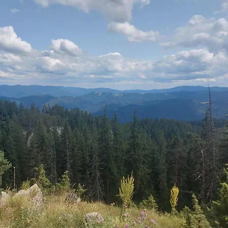 у нико * Orehovo