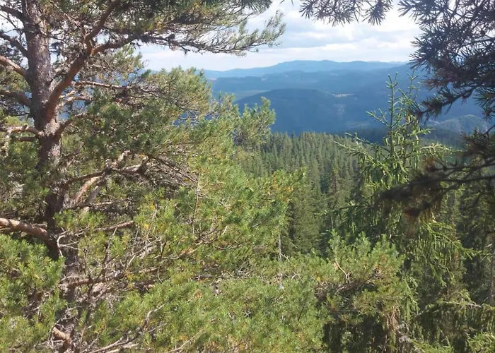 Guest house у нико *