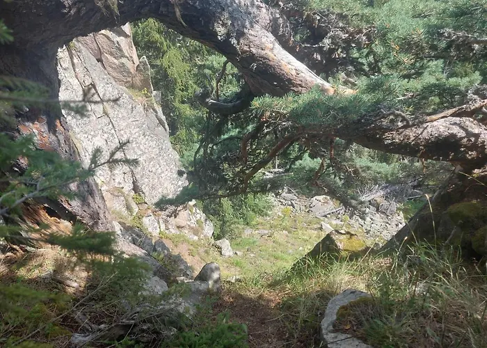 у нико Guest house Orehovo