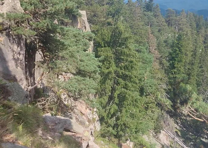 у нико * Orehovo